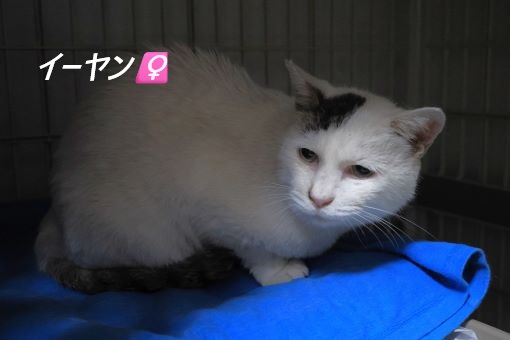 ファイル 2528-4.jpg