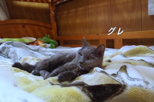 ファイル 2529-3.jpg