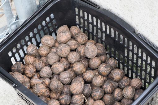 ファイル 2530-3.jpg