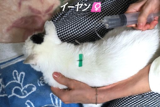 ファイル 2532-3.jpg