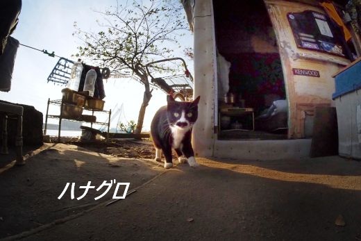 ファイル 2533-1.jpg