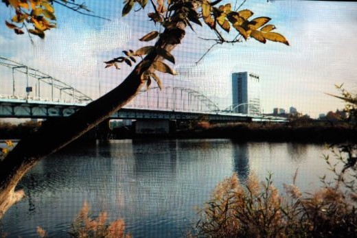 ファイル 2534-4.jpg