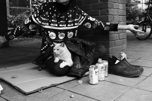 ファイル 2536-1.jpg