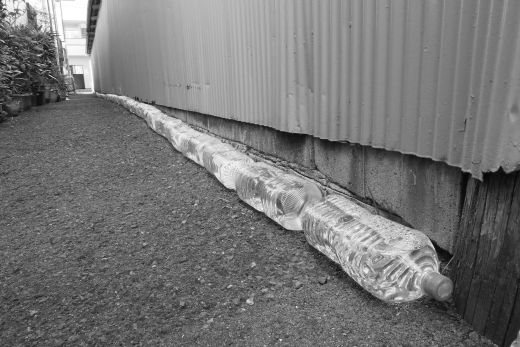 ファイル 2536-2.jpg