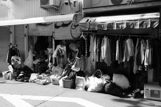 ファイル 2537-2.jpg