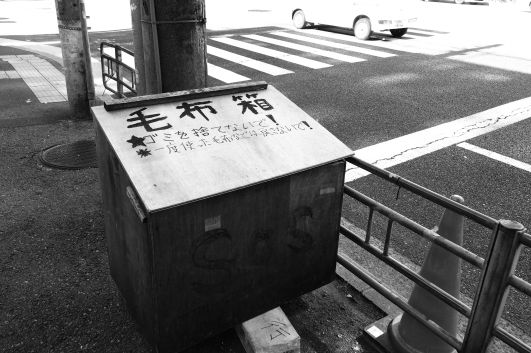 ファイル 2537-3.jpg