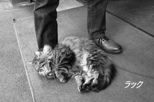 ファイル 2537-4.jpg