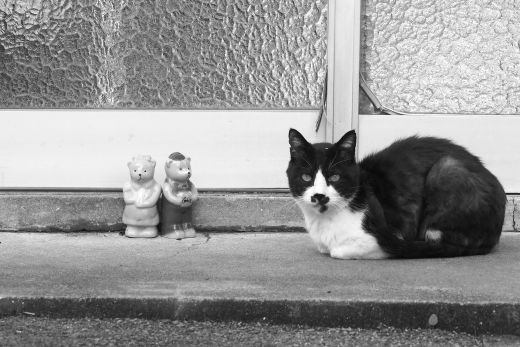 ファイル 2538-2.jpg