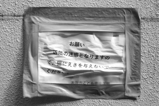 ファイル 2538-3.jpg