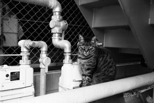 ファイル 2538-4.jpg