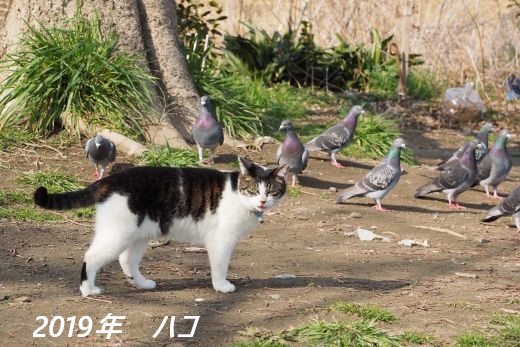 ファイル 2540-2.jpg