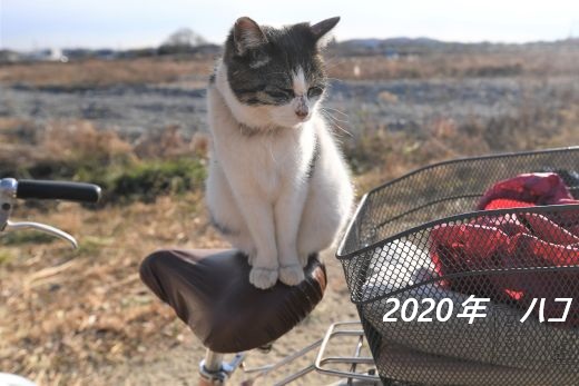 ファイル 2540-3.jpg