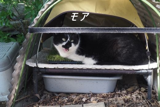 ファイル 2541-1.jpg