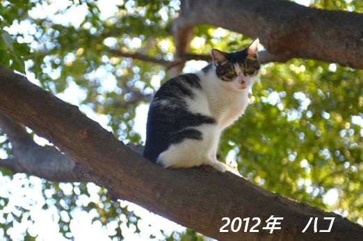 ファイル 2541-2.jpg