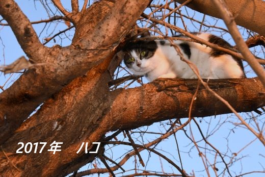 ファイル 2541-3.jpg