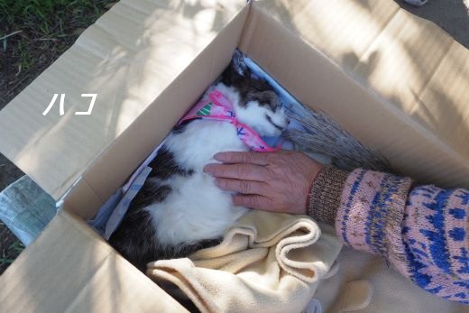 ファイル 2541-4.jpg