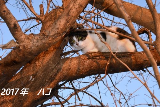 ファイル 2543-4.jpg