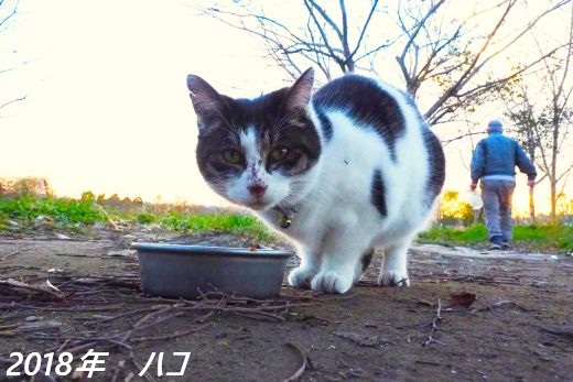 ファイル 2543-5.jpg