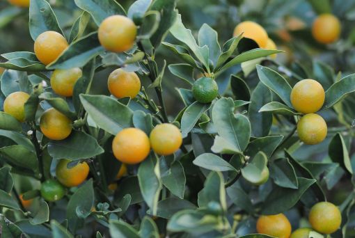 ファイル 2544-3.jpg