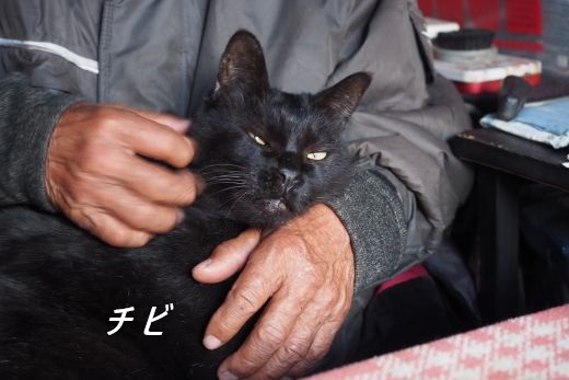 ファイル 2546-1.jpg