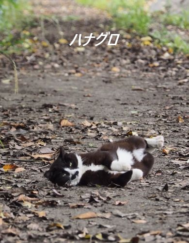 ファイル 2548-1.jpg