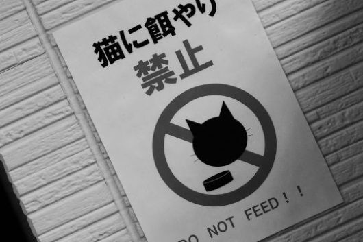 ファイル 2550-1.jpg