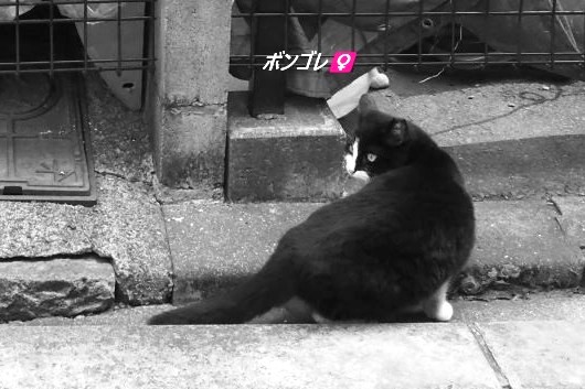 ファイル 2550-2.jpg