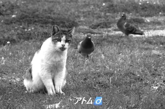 ファイル 2550-3.jpg