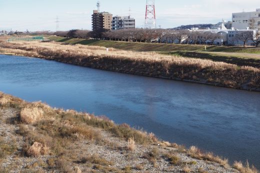 ファイル 2556-3.jpg