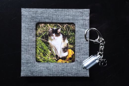 ファイル 2556-4.jpg