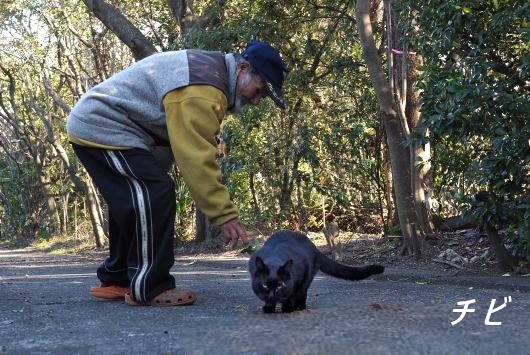 ファイル 2558-1.jpg