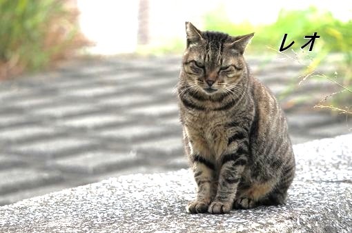 ファイル 2562-2.jpg