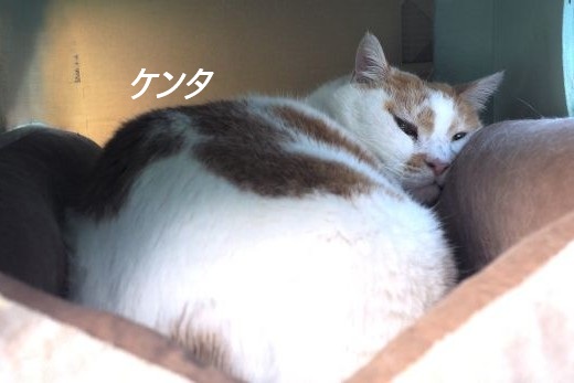 ファイル 2566-3.jpg