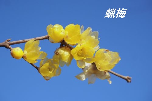 ファイル 2567-4.jpg