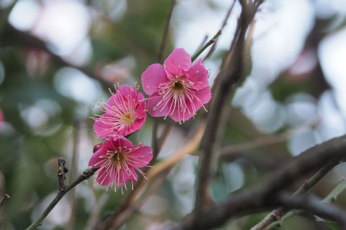 ファイル 2571-3.jpg