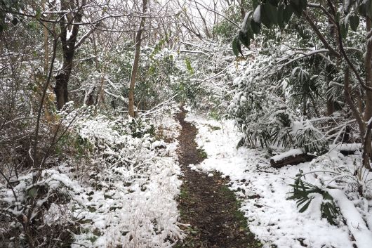 ファイル 2574-3.jpg