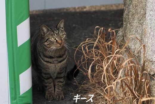 ファイル 2575-3.jpg