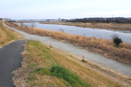 ファイル 2576-5.jpg