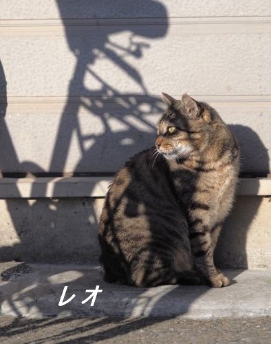 ファイル 2577-1.jpg