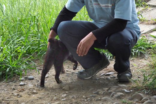 ファイル 2579-2.jpg