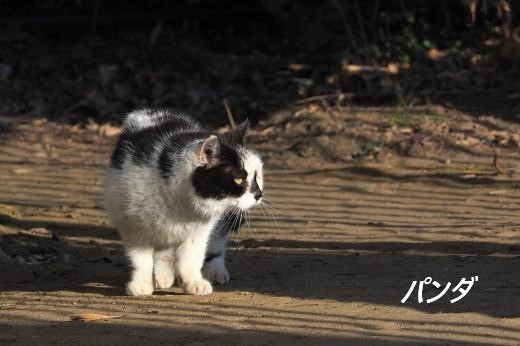 ファイル 2580-1.jpg