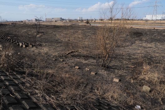 ファイル 2580-4.jpg