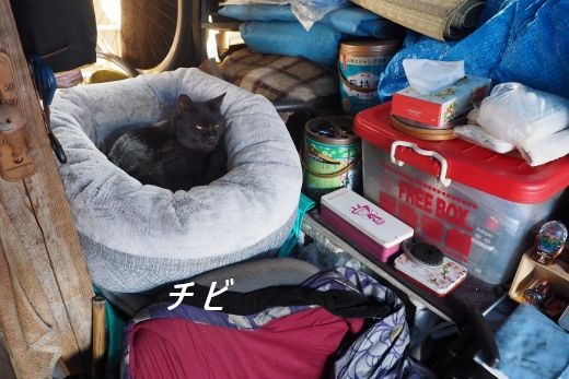 ファイル 2583-1.jpg