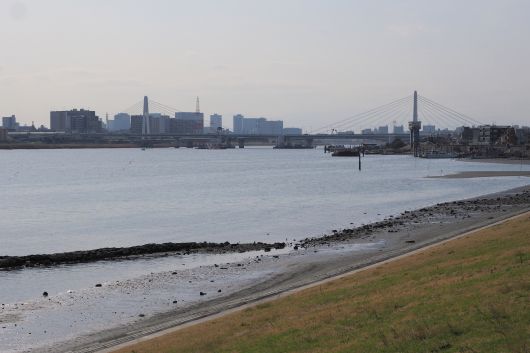 ファイル 2586-3.jpg