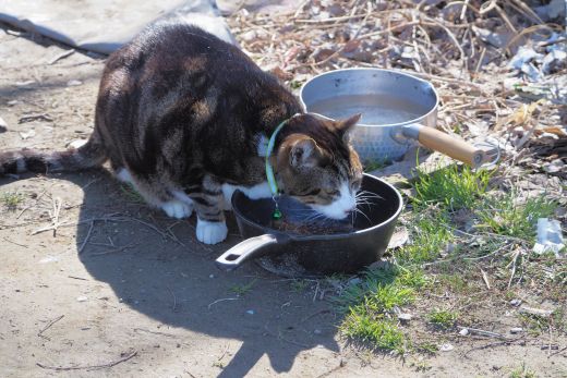 ファイル 2588-2.jpg