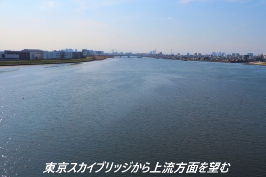 ファイル 2590-3.jpg