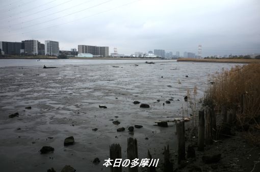 ファイル 2591-5.jpg