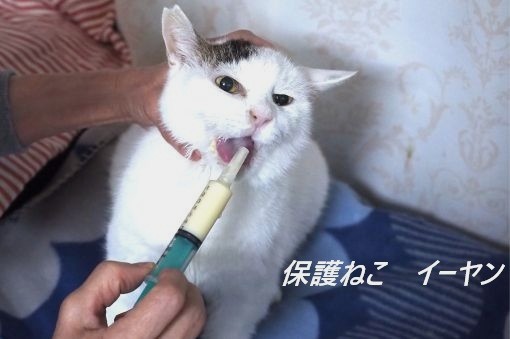 ファイル 2603-4.jpg