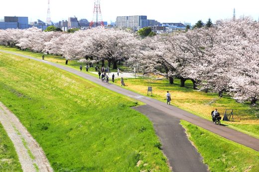 ファイル 2604-2.jpg