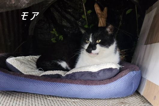 ファイル 2605-1.jpg